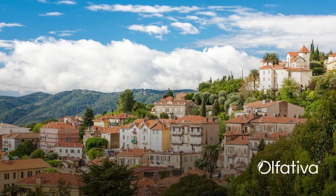 APRENDIZAJE EN GRASSE FRANCIA CON OLFATIVA