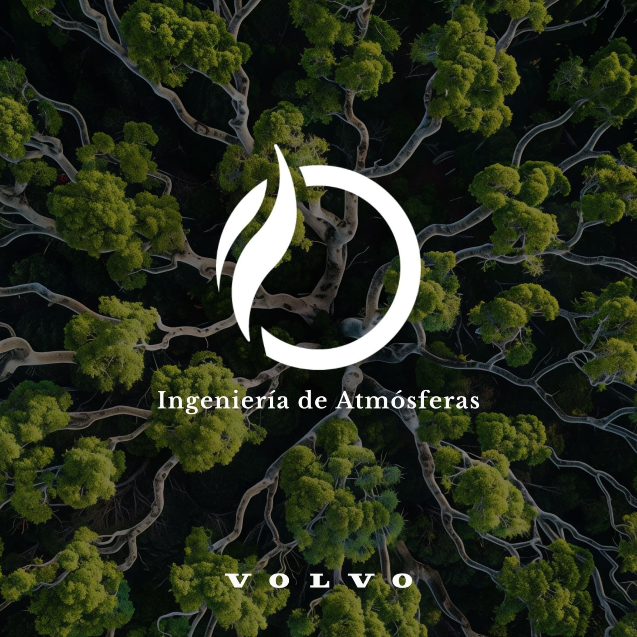 Olfativa y Volvo Branding sensorial de lujo Olfativa y Volvo Branding sensorial de lujo