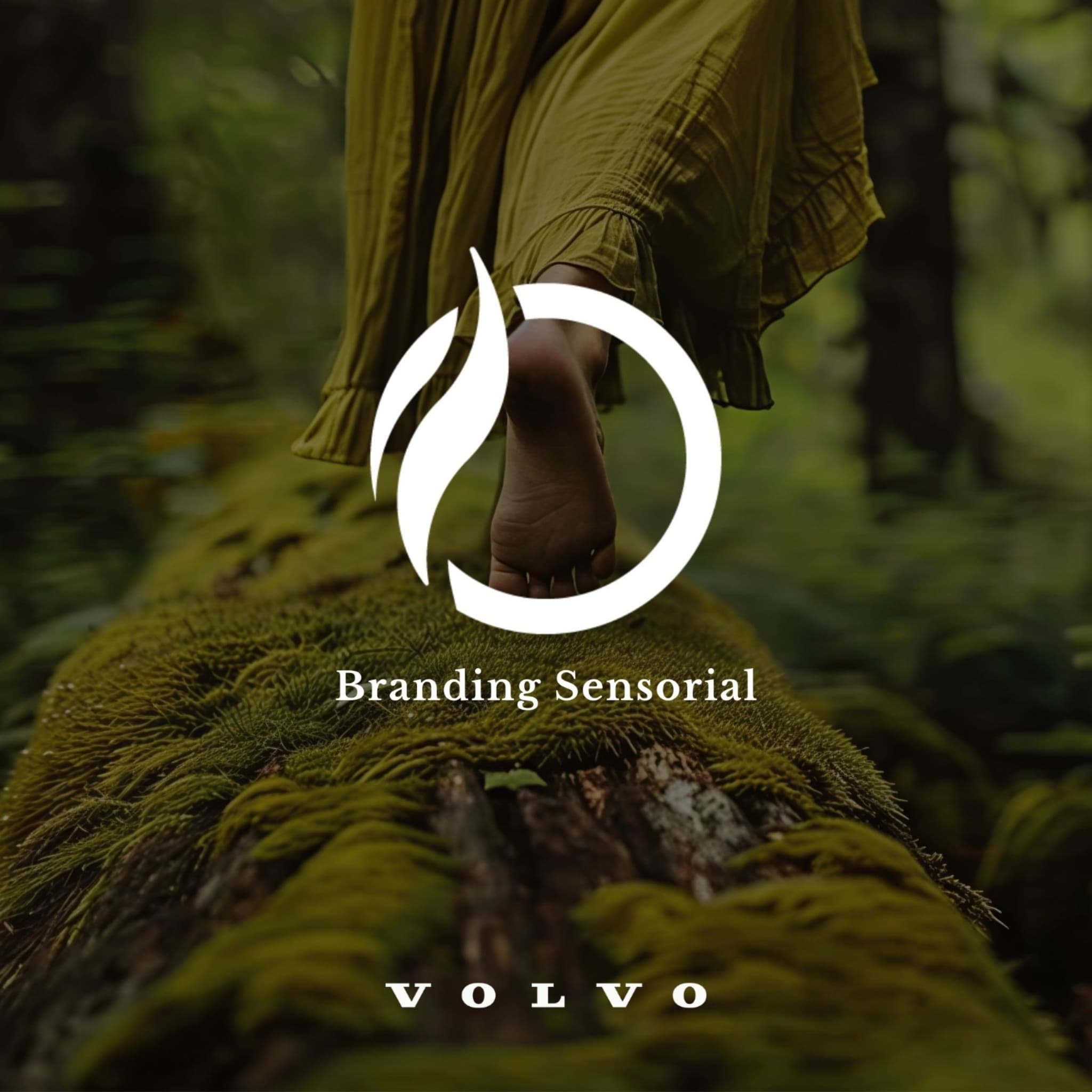 Olfativa y Volvo: Confort invisible y experiencia sensorial. Olfativa y Volvo: Confort invisible y experiencia sensorial.