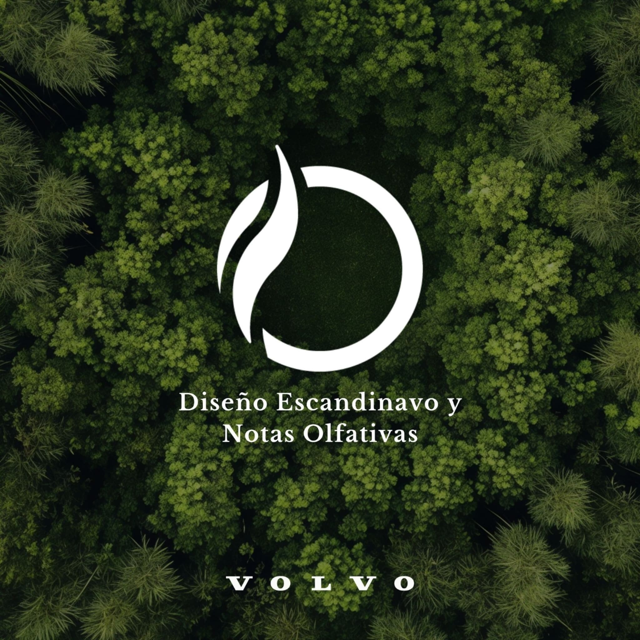 Olfativa y Volvo Integrando marketing olfativo y diseño escandinavo. Olfativa y Volvo Integrando marketing olfativo y diseño escandinavo.