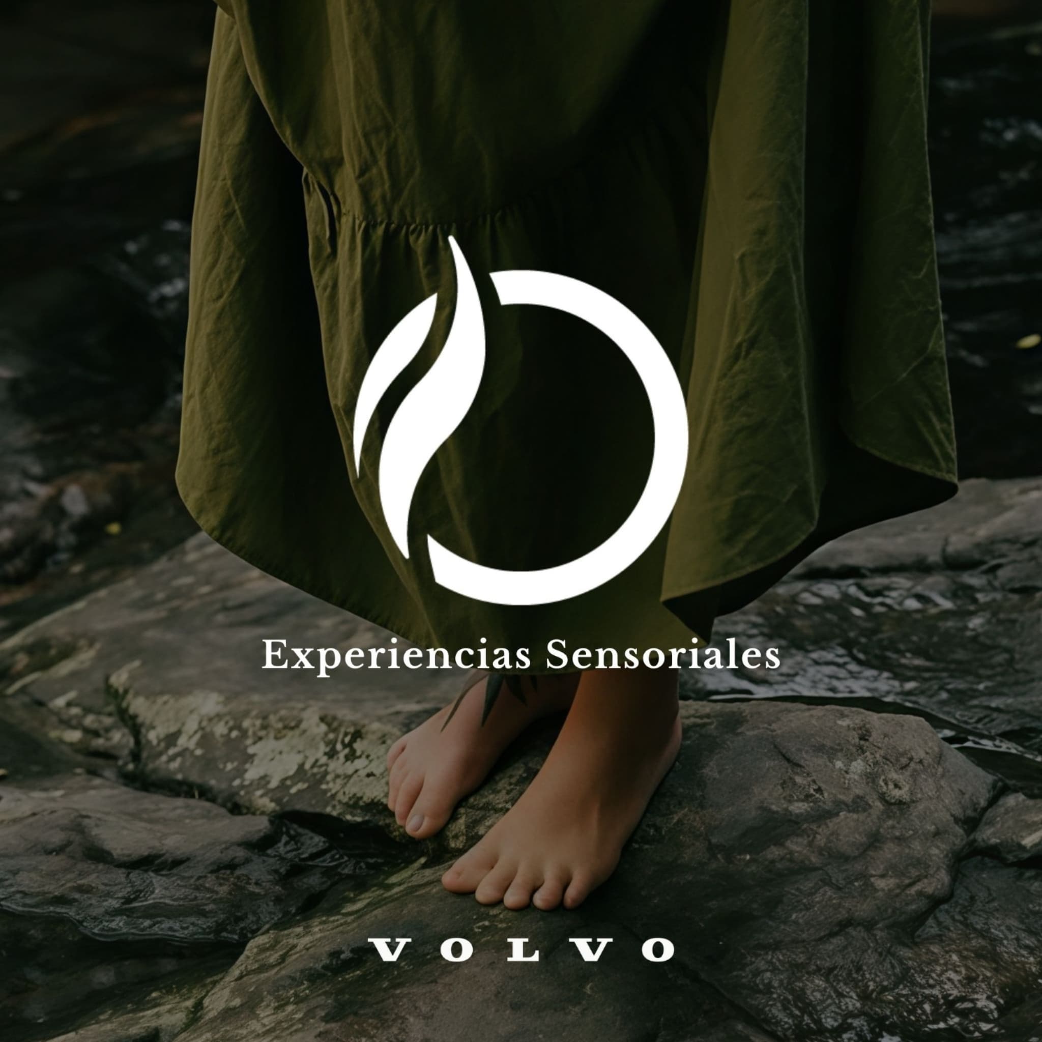 Olfativa y Volvo Diseño escandinavo hecho aroma con marketing olfativo Olfativa y Volvo Diseño escandinavo hecho aroma con marketing olfativo