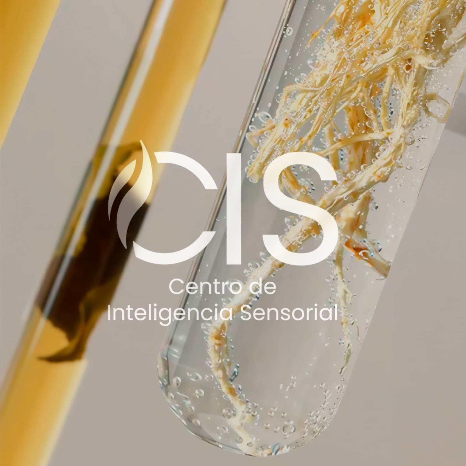 CIS, referente internacional en diseño olfativo CIS combina análisis, diseño emocional y validación sensorial