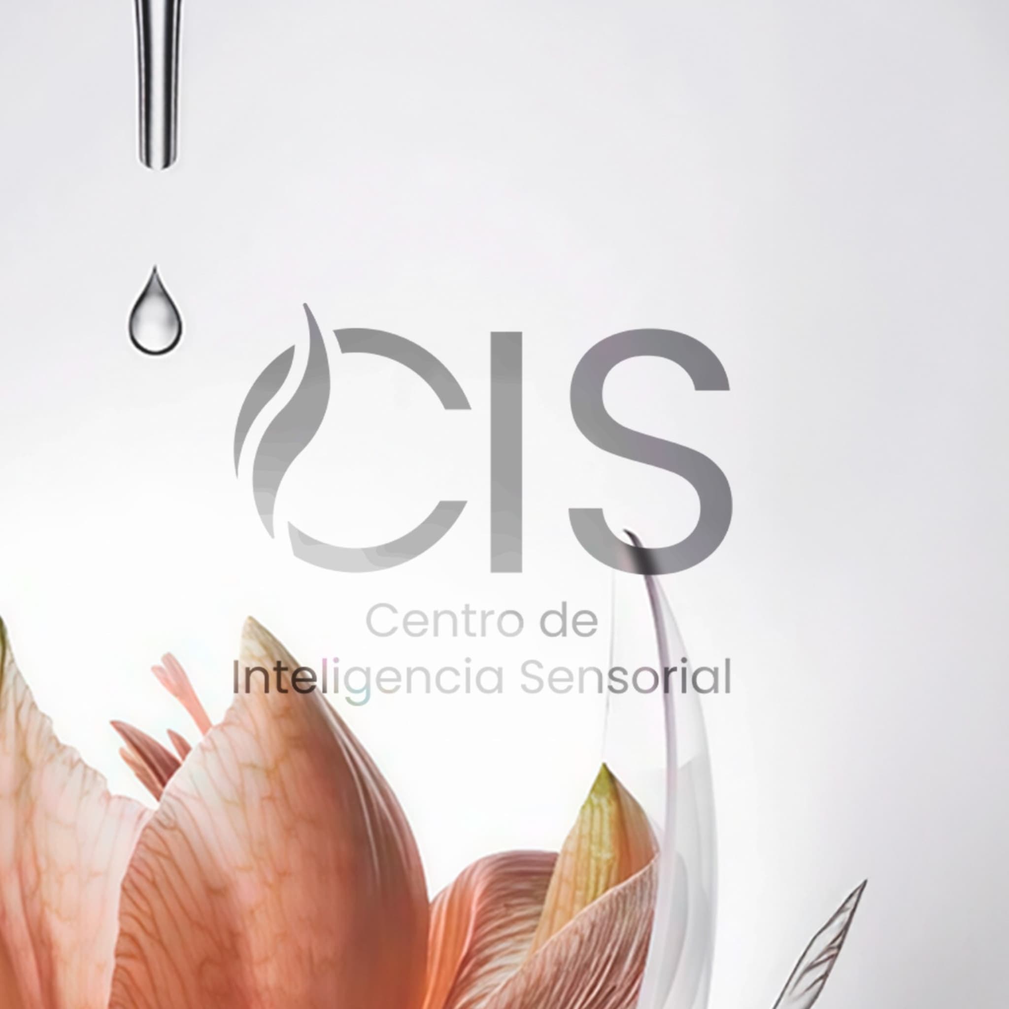 Centro de Inteligencia Sensorial - curaduría multisensorial especializada El Centro de Inteligencia Sensorial, integra branding y arte olfativo.