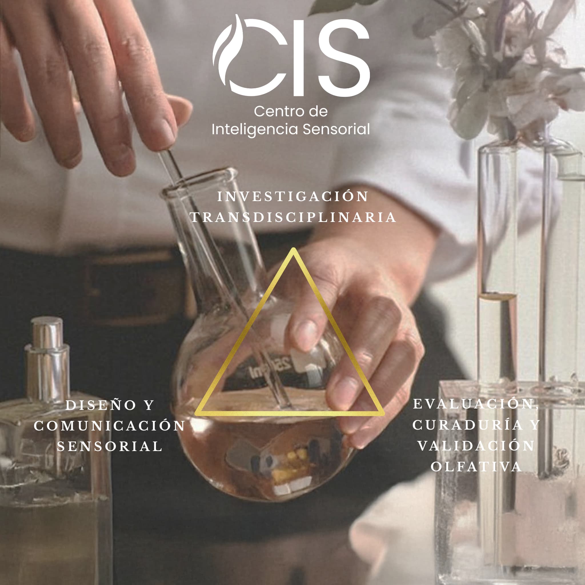 El aroma como lenguaje emocional del futuro, CIS 2025 El aroma como lenguaje emocional del futuro, CIS 2025