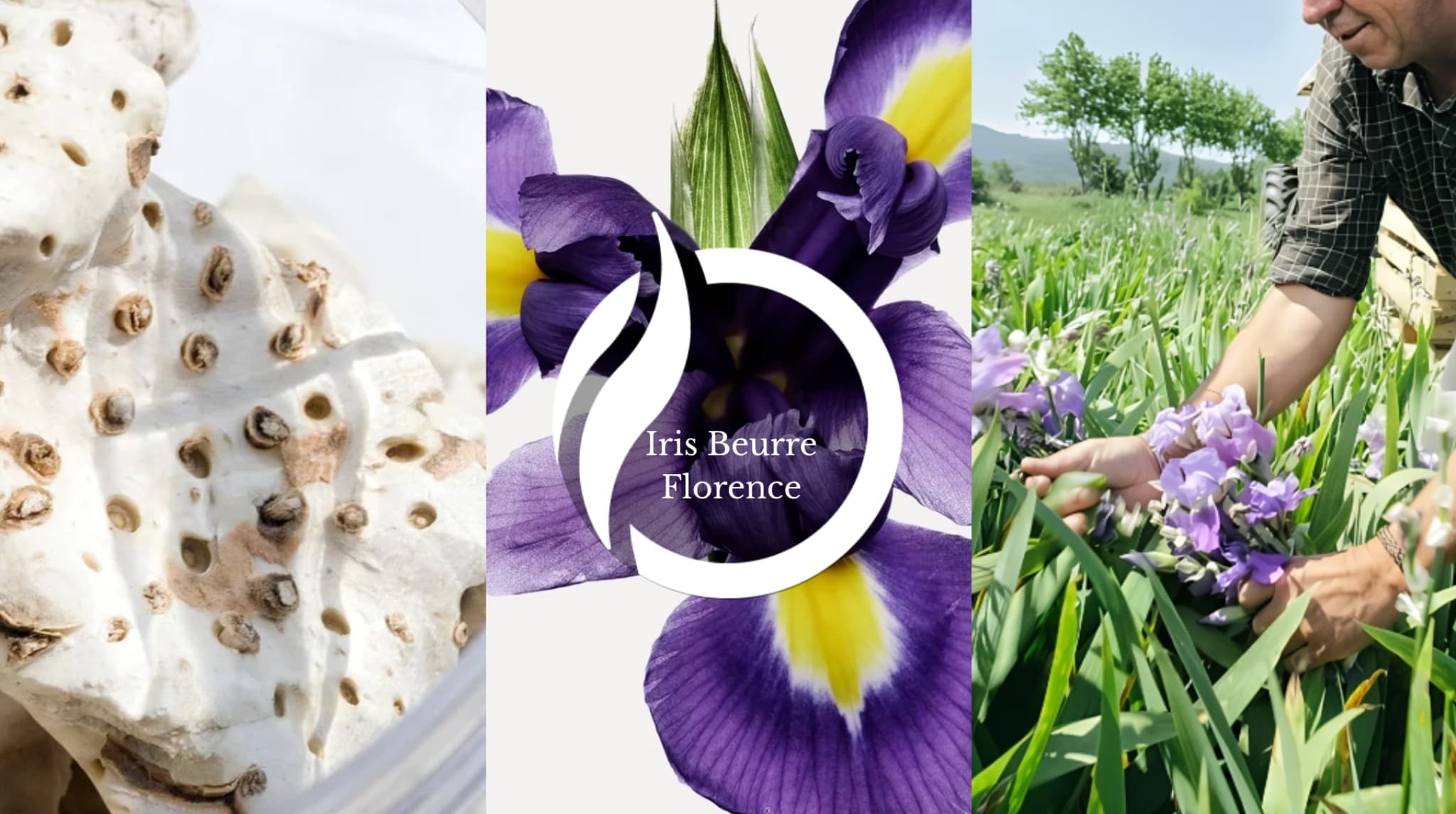 Notas Olfativas Iris Beurre Florence Centro de Inteligencia Sensorial Notas Olfativas Iris Beurre Florence Centro de Inteligencia Sensorial